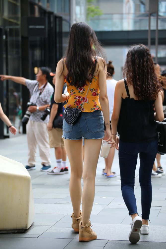 J2023 30P-255MB-猫爪图