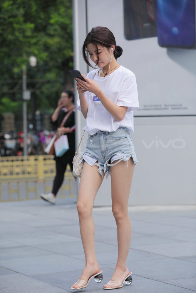 J2024 38P-316MB-猫爪图